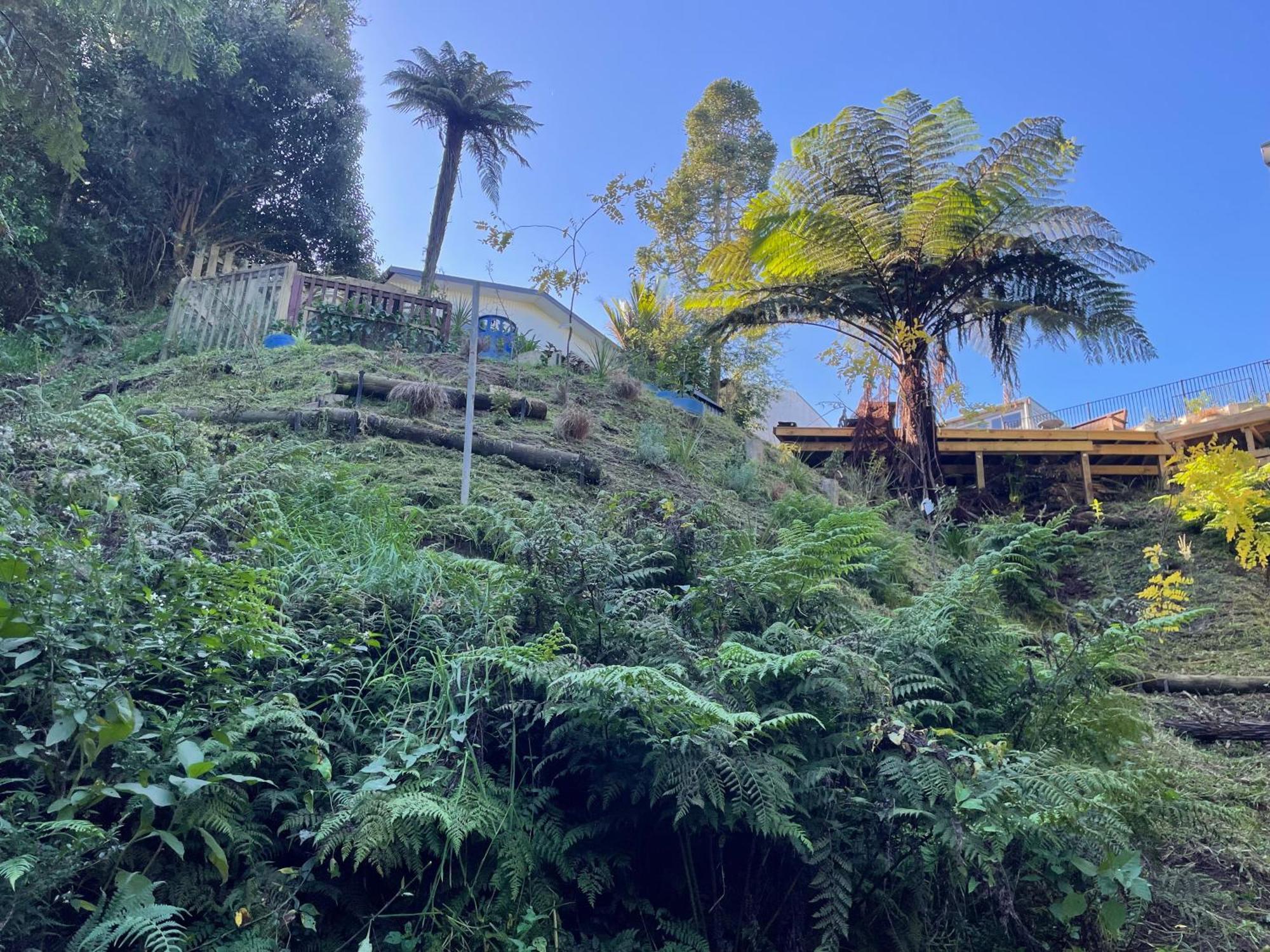 Hotel Gully Retreat Hamilton Esterno foto