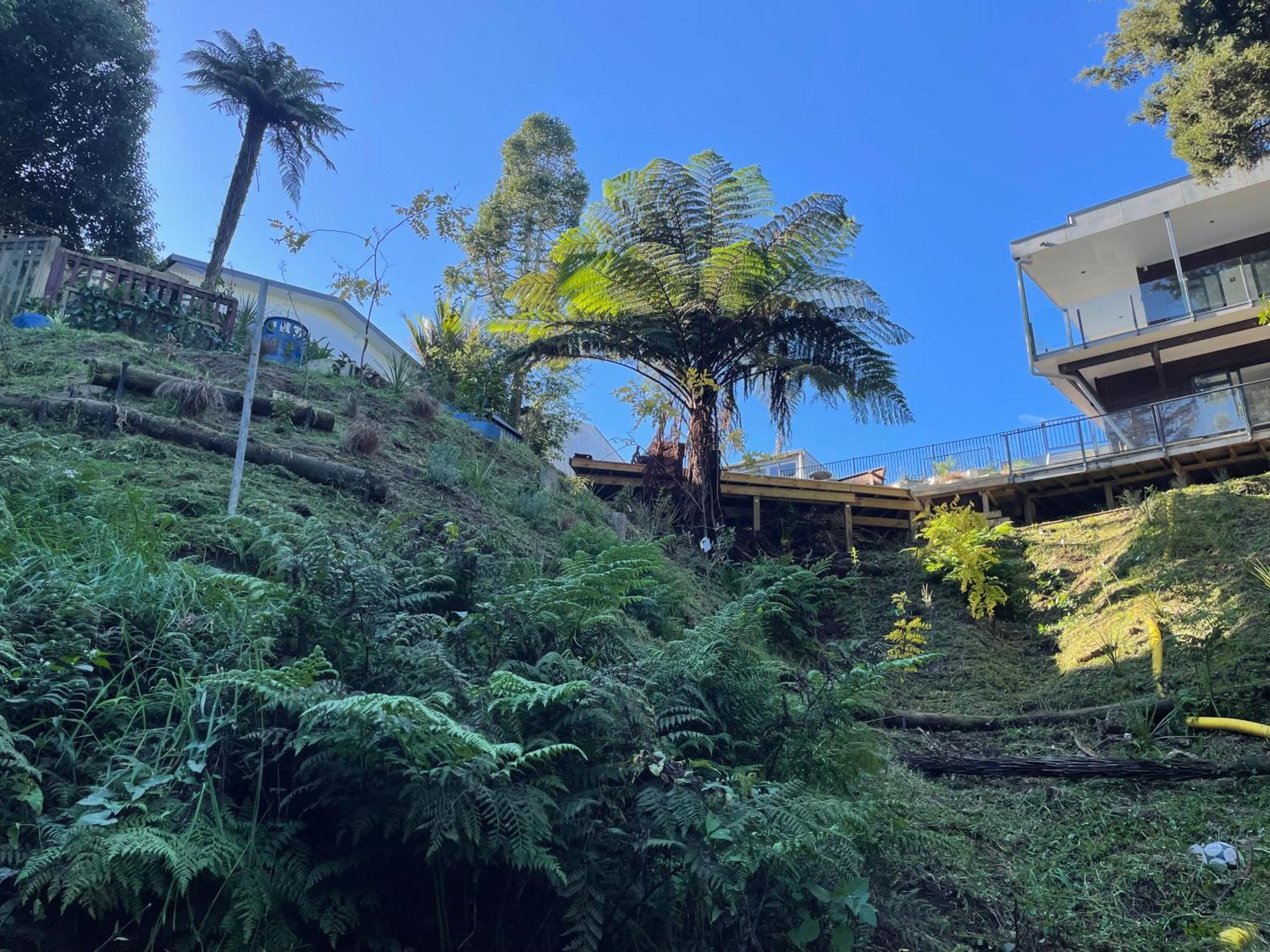 Hotel Gully Retreat Hamilton Esterno foto